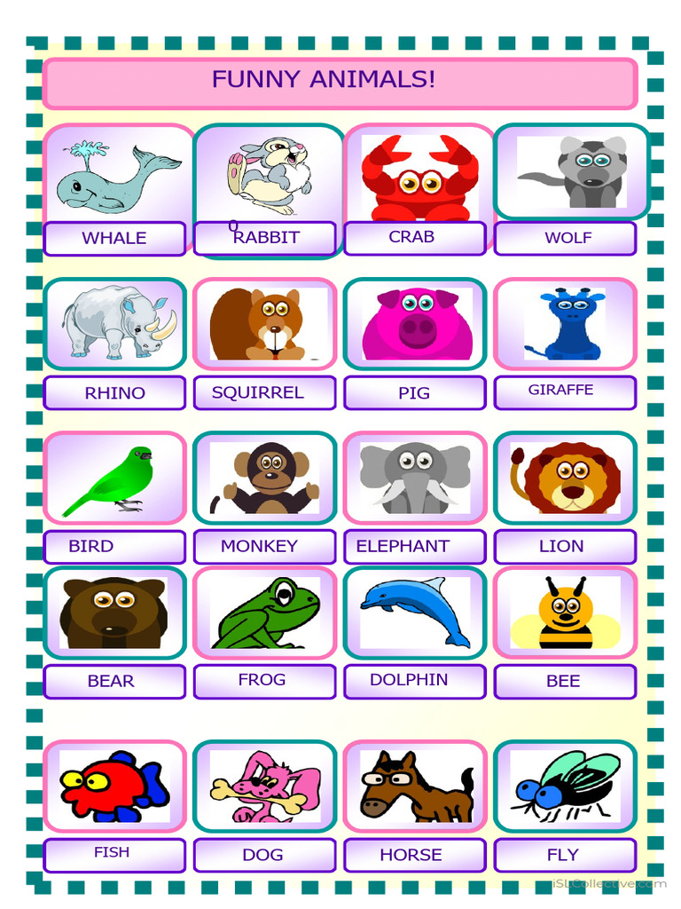 Hilarious Animal Names List | PDF