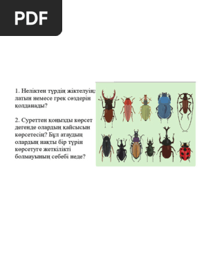 Мен әпкемнің форумын аңдып жүрмін