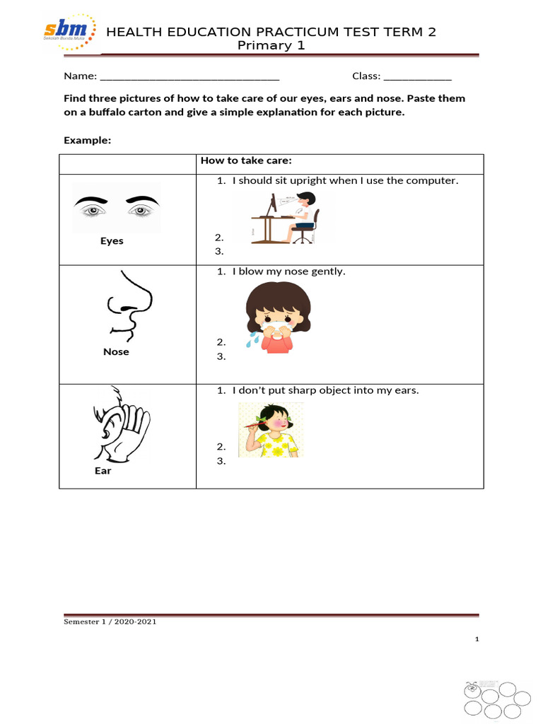 HE Practicum Project Term 2 | PDF