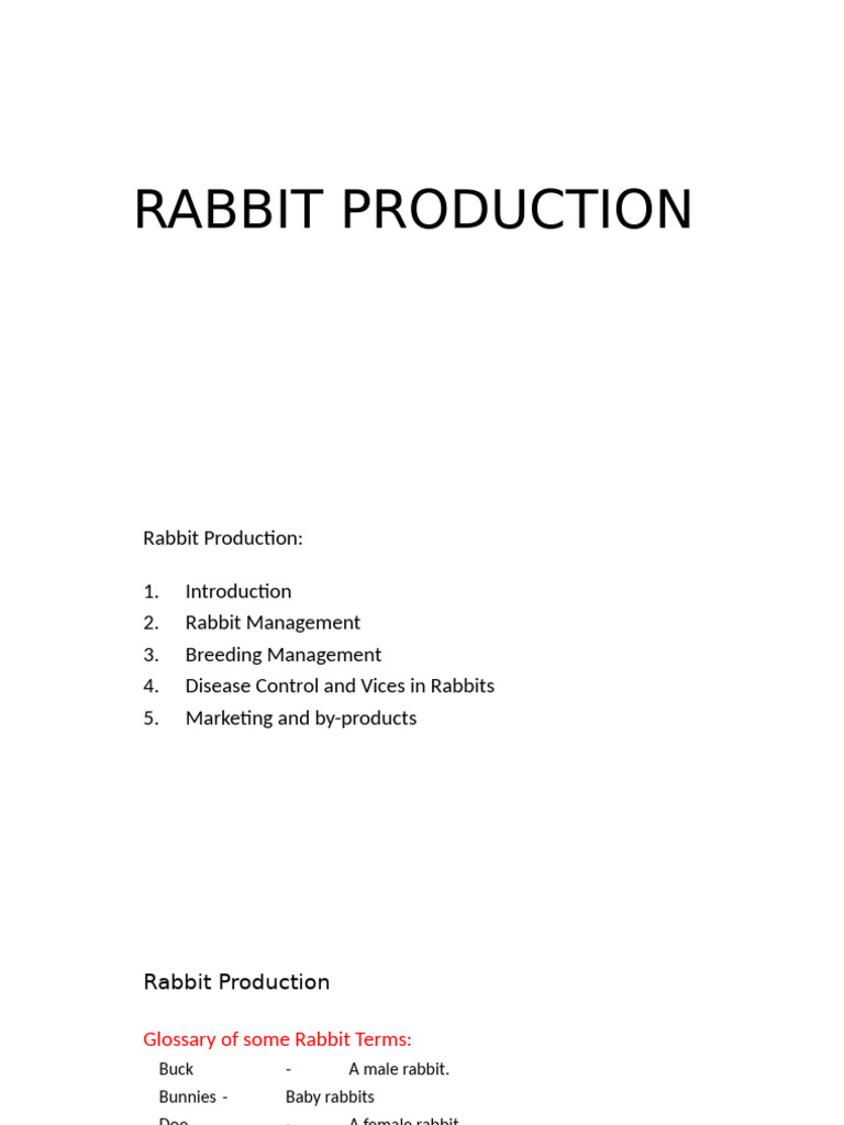 Comprehensive Guide to Rabbit Production | PDF | Cereals | Rabbit
