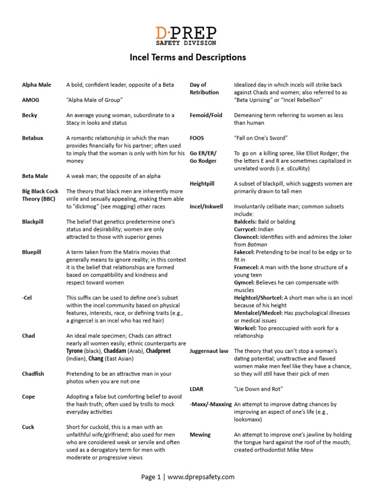 Incel Terminology and Definitions | PDF