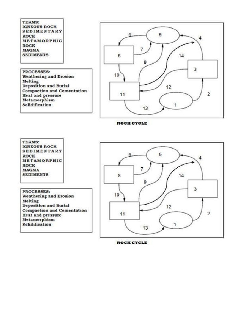 Activity Strata ELS | PDF
