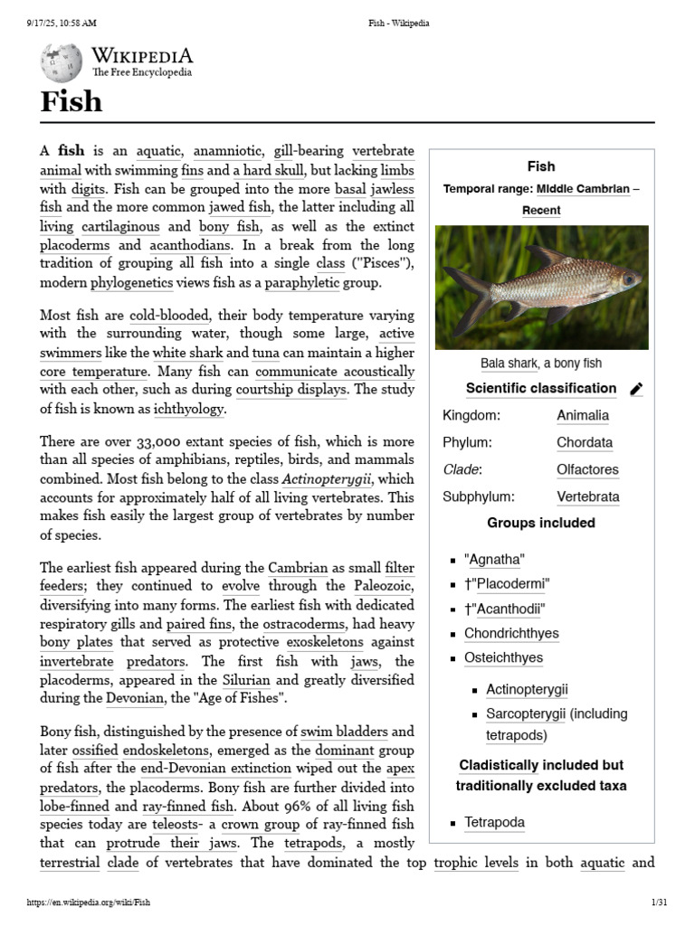 Overview of Fish Species and Classification | PDF | Fish | Gill