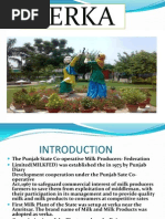 Download Ppt on Verka by Deepshikha Suri SN91851350 doc pdf
