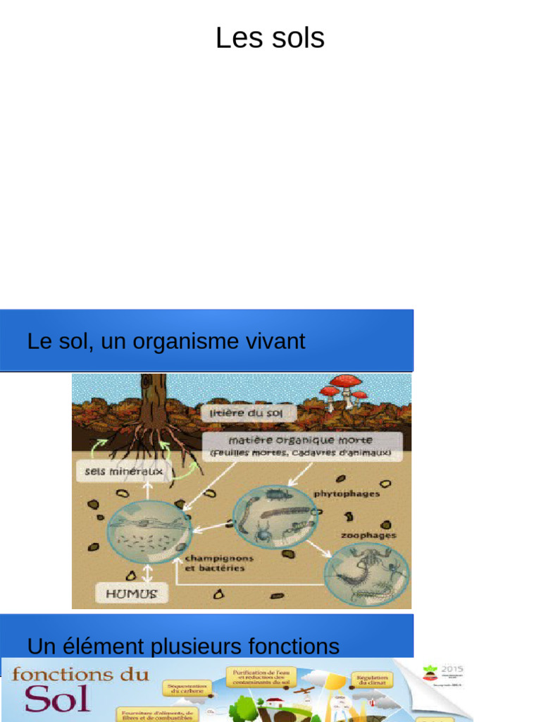 Comprendre les sols et leur écologie | PDF | Sol (pédologie) | Matière ...