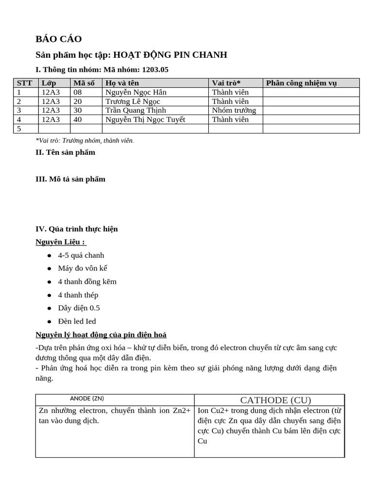 Hoạt Động Pin Chanh | PDF