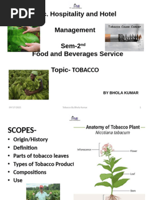 tobacco history definition Comprehensive Guide to Tobacco Types | PDF | Cigar