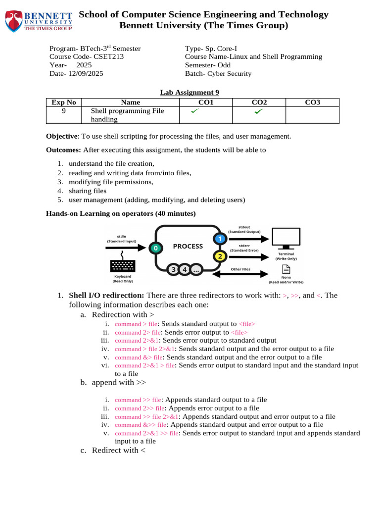 Shell I/O Redirection Lab Assignment | PDF | Computer File | Unix