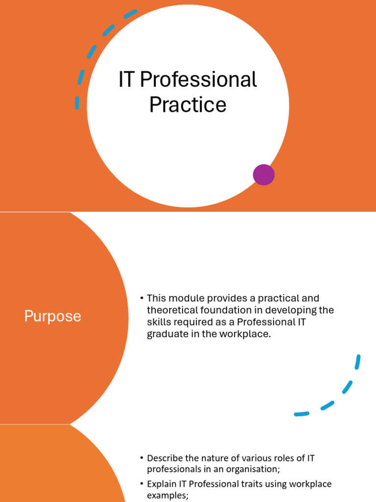 2) IT Professional Practice | PDF | Software Development | Software Testing