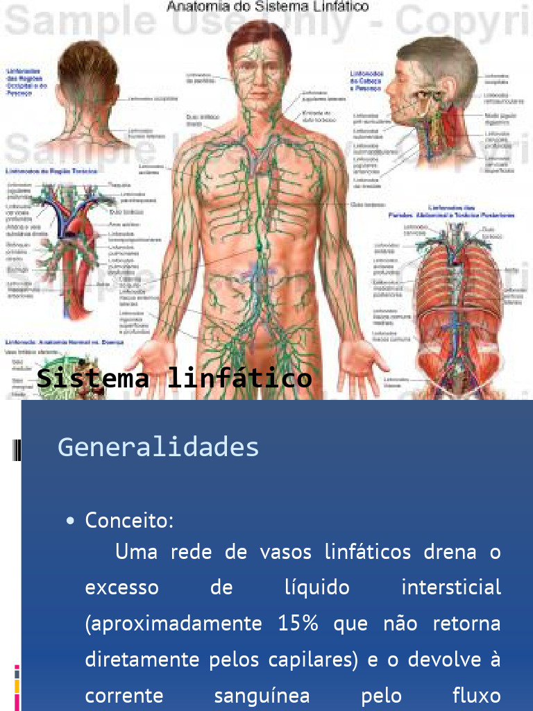 Funções e Estrutura do Sistema Linfático | PDF | Sistema linfático | Linfa