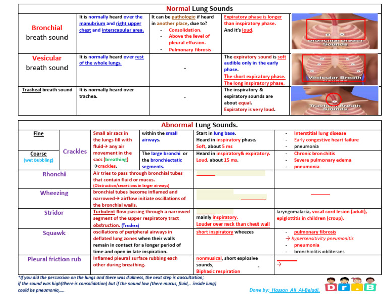 Understanding Normal and Abnormal Lung Sounds | PDF | Respiratory ...