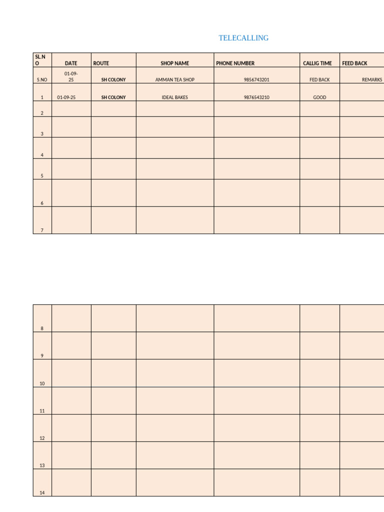 Telecalling Feedback Report | PDF