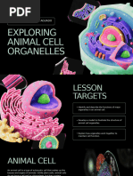 Animal Cell Structure Diagram | PDF