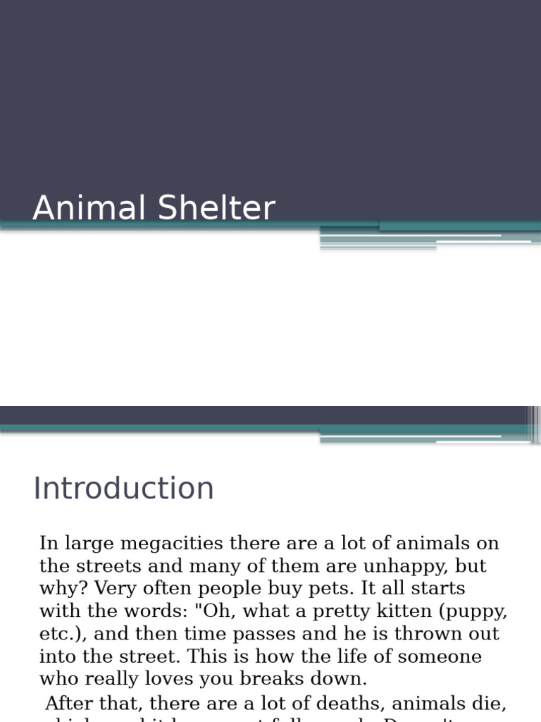 Animal Shelter Fundraising Proposal | PDF