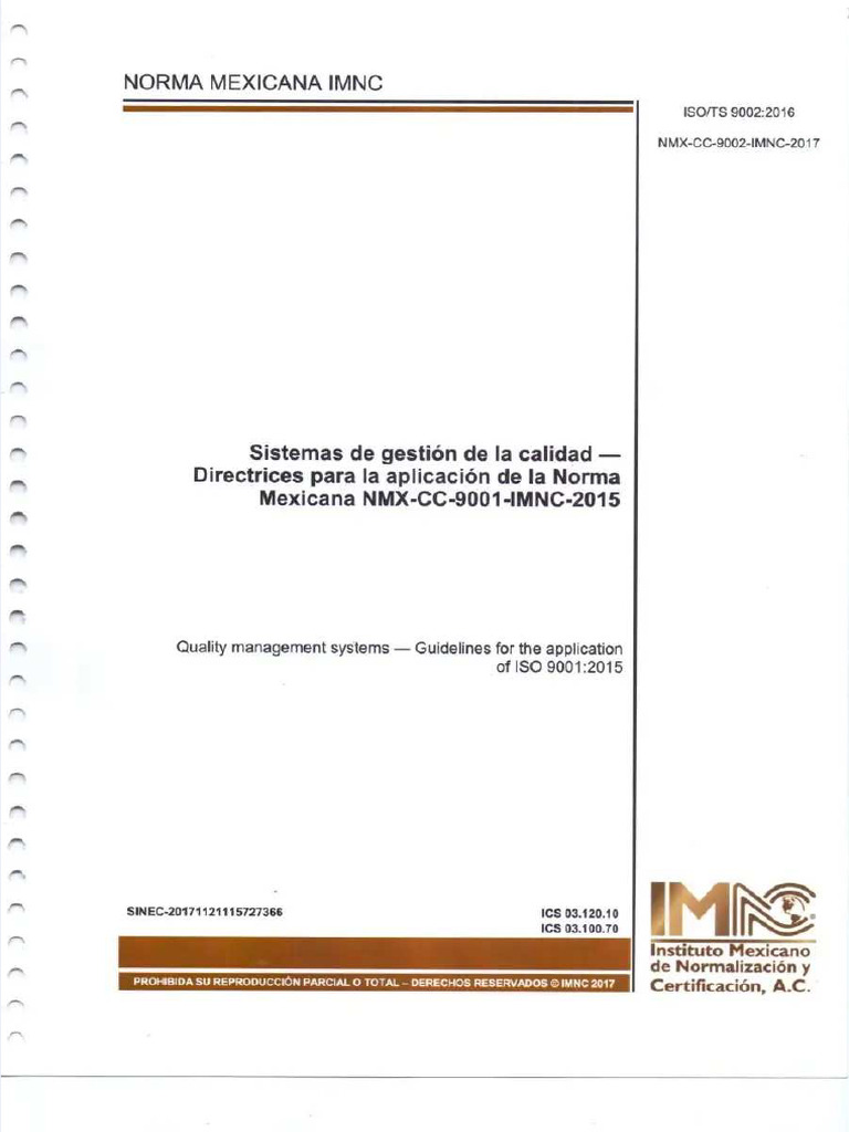Iso 9002 | PDF