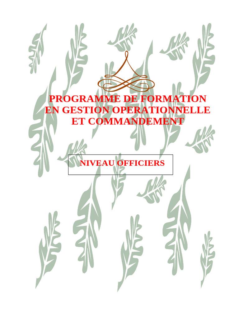 Formation Commandement Opérationnel | PDF