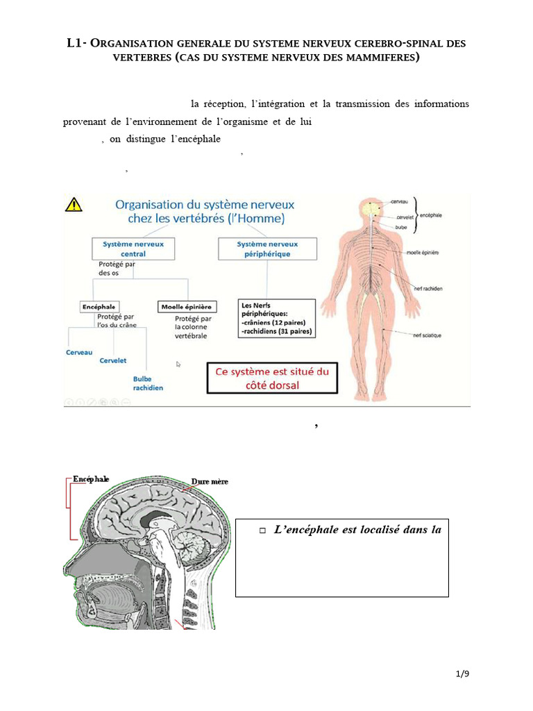 Anatomie Comparée des Animaux Domestiques | PDF | Système de référence en  anatomie | Zoologie, image size:768x1024