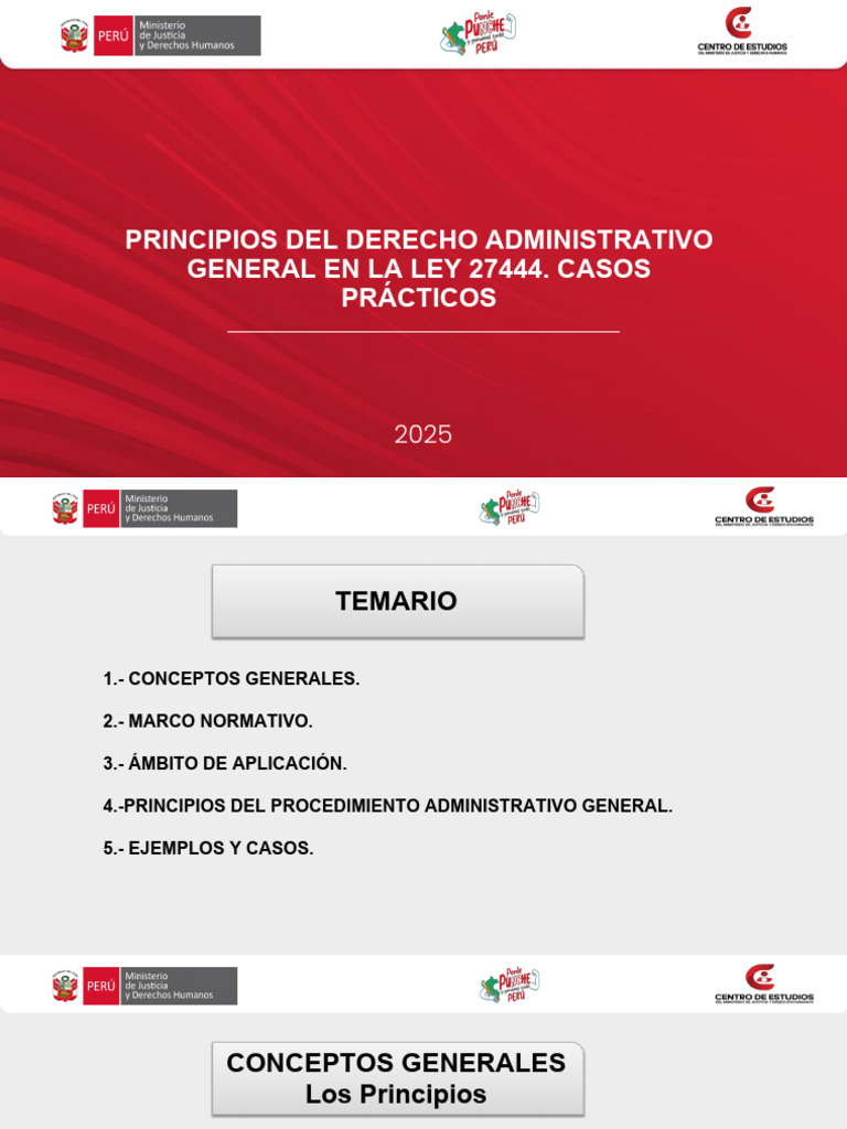 Principios de la Ley 27444 en Derecho Administrativo | PDF ...