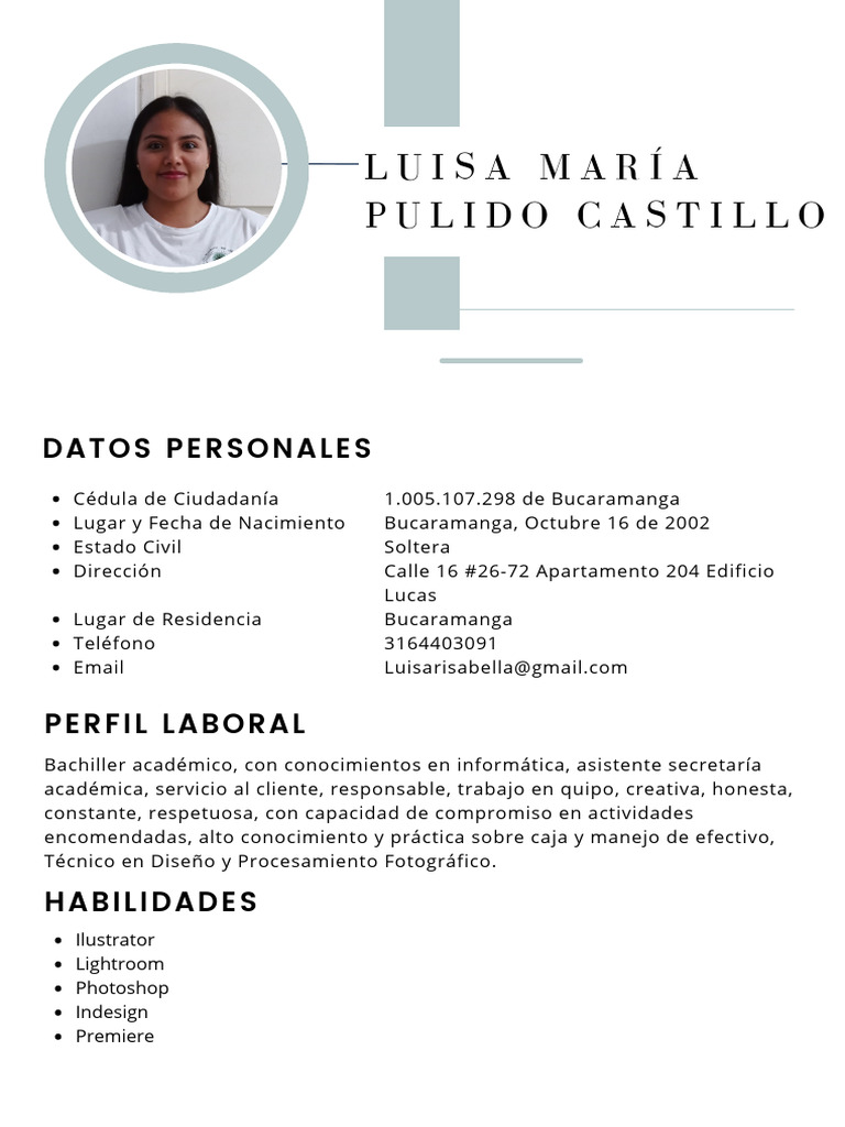 Perfil Profesional de Luisa María Pulido | PDF
