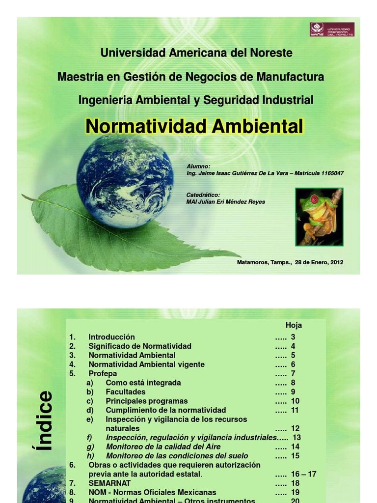 Normatividad Ambiental 01282012 PDF M xico Degradaci n Ambiental
