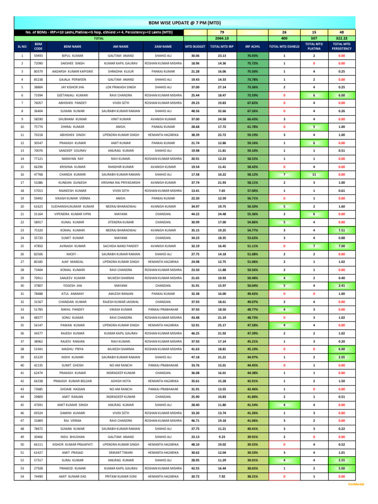 MTD BDM Performance Report Summary | PDF