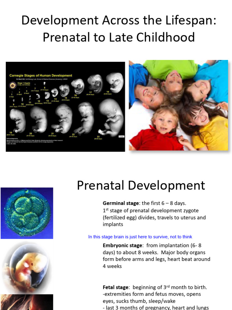 Lifespan Development: Prenatal to Childhood | PDF | Behavioural ...