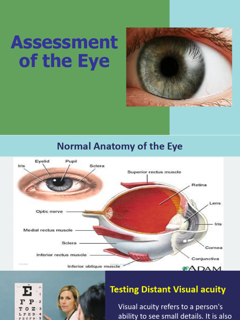Eye Assessment and Visual Acuity Tests | PDF | Visual Acuity | Vision