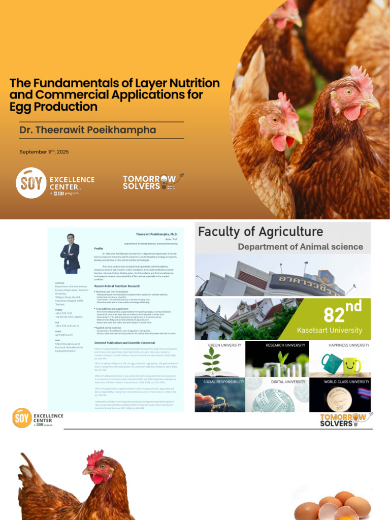 Layer Nutrition for Optimal Egg Production | PDF | Methionine | Soybean