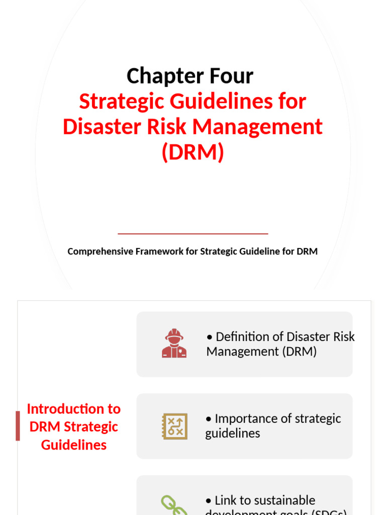 Strategic Guidelines for Disaster Risk Management | PDF | Disaster Risk ...