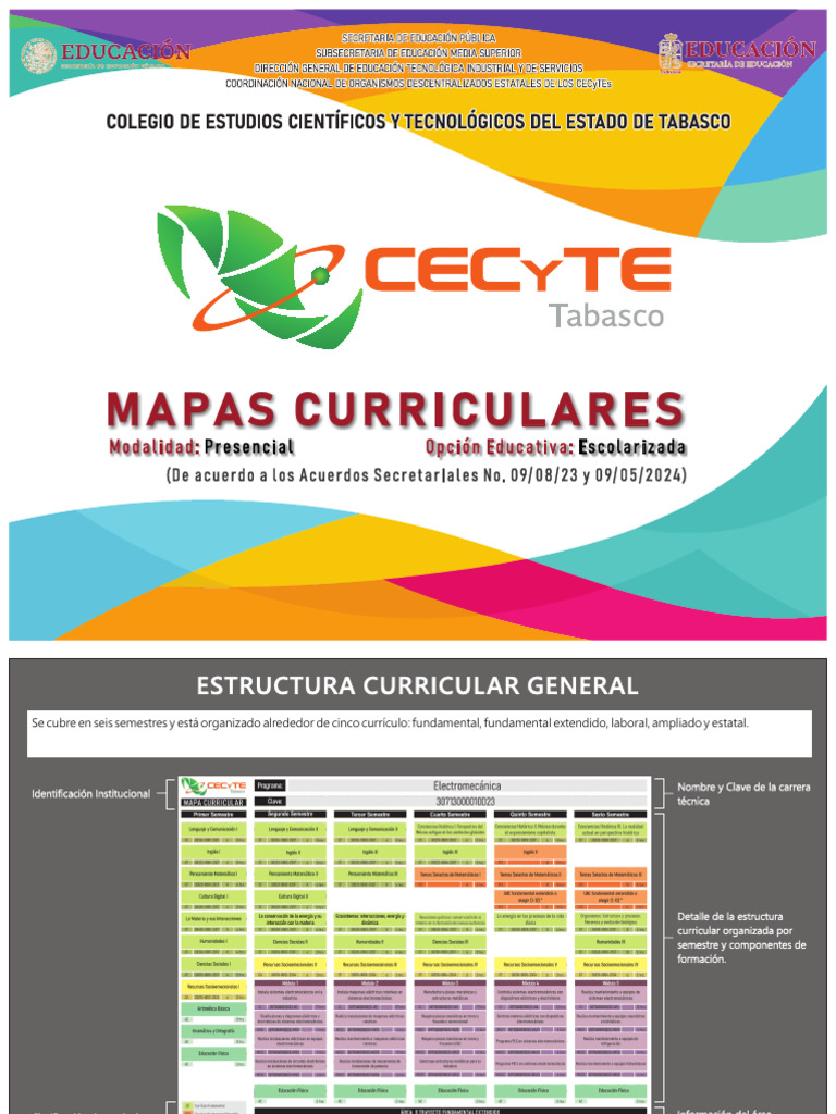 Mapas Curriculares 2024: Estructura General | PDF | Plan de estudios ...