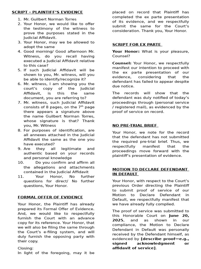Plaintiff's Evidence Presentation Script | PDF | Affidavit | Witness