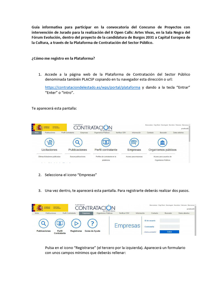 Guía Informativa de Acceso A La Plataforma | PDF | Contraseña ...