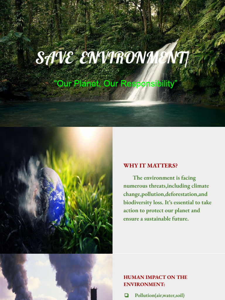 Save the Environment: Our Responsibility | PDF