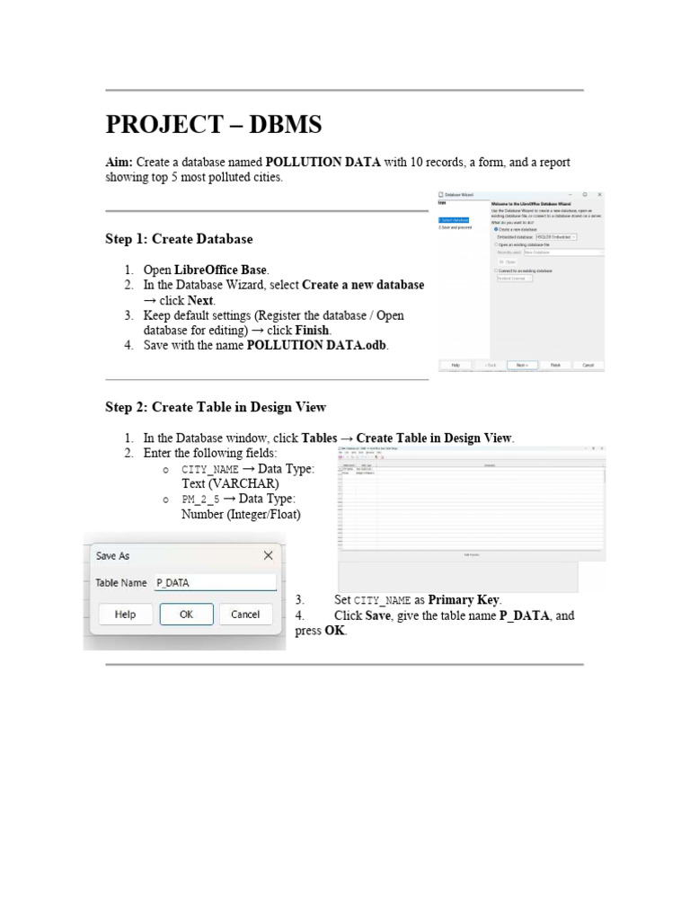 Project DMBS | PDF