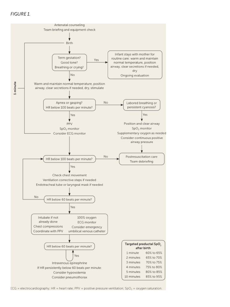 Neonatal Resuscitation Program | PDF