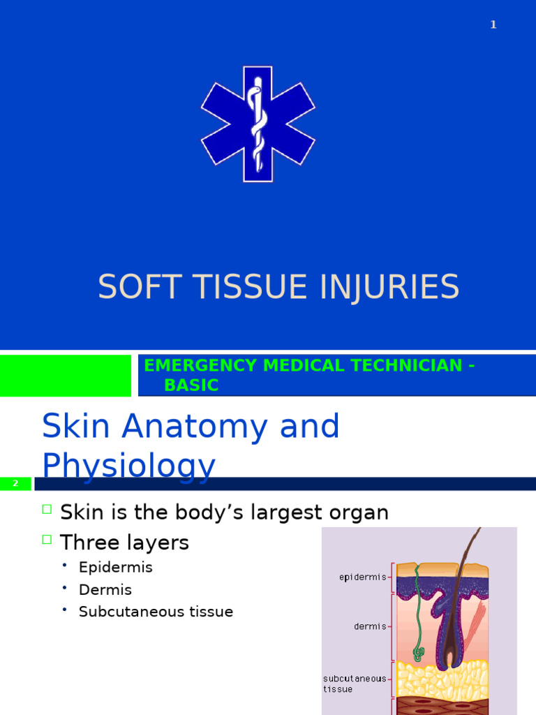 Understanding Soft Tissue Injuries | PDF | Skin | Diseases And Disorders