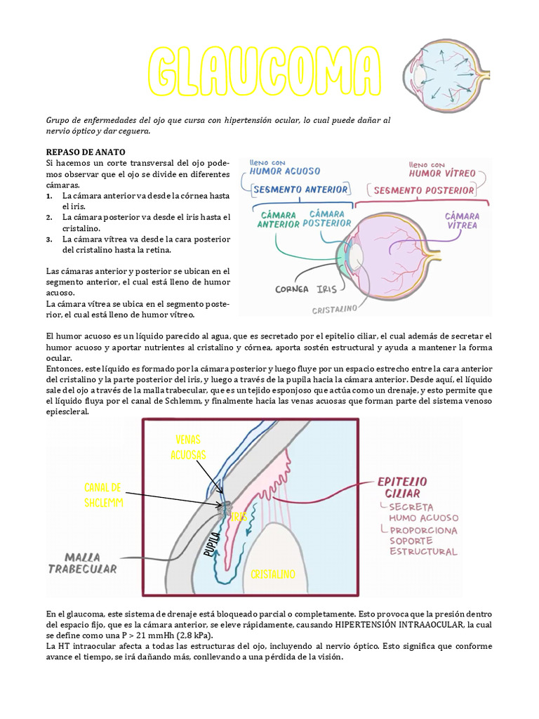 Glaucoma: Causas y Tratamientos | PDF | Glaucoma | Ojo humano