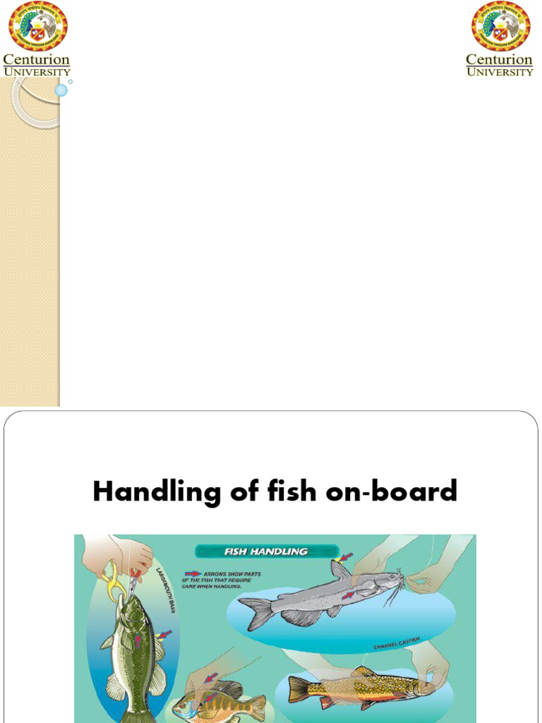 1.handling of Fish and Shellfish | PDF | Lobster | Shellfish