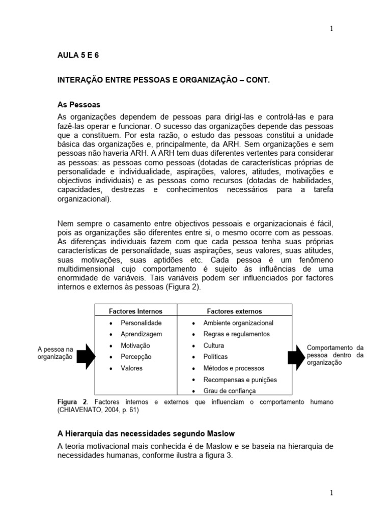 Interação entre Pessoas e Organizações | PDF | Cultura organizacional ...