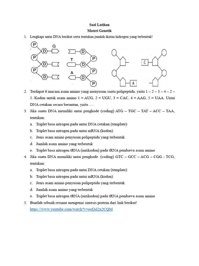 Latihan Genetik: DNA dan Sintesis Protein | PDF