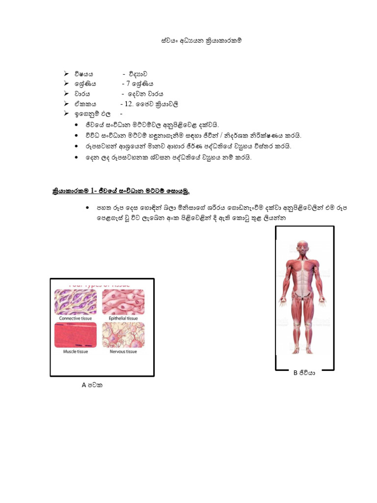 Grade 7 Lesson 12 | PDF