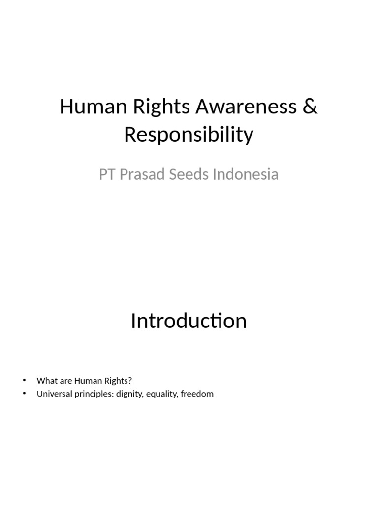 Human Rights in the Workplace Guide | PDF