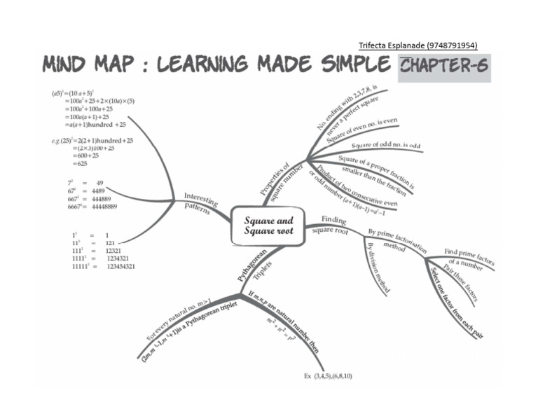 Mind Map Square and Square Root | PDF
