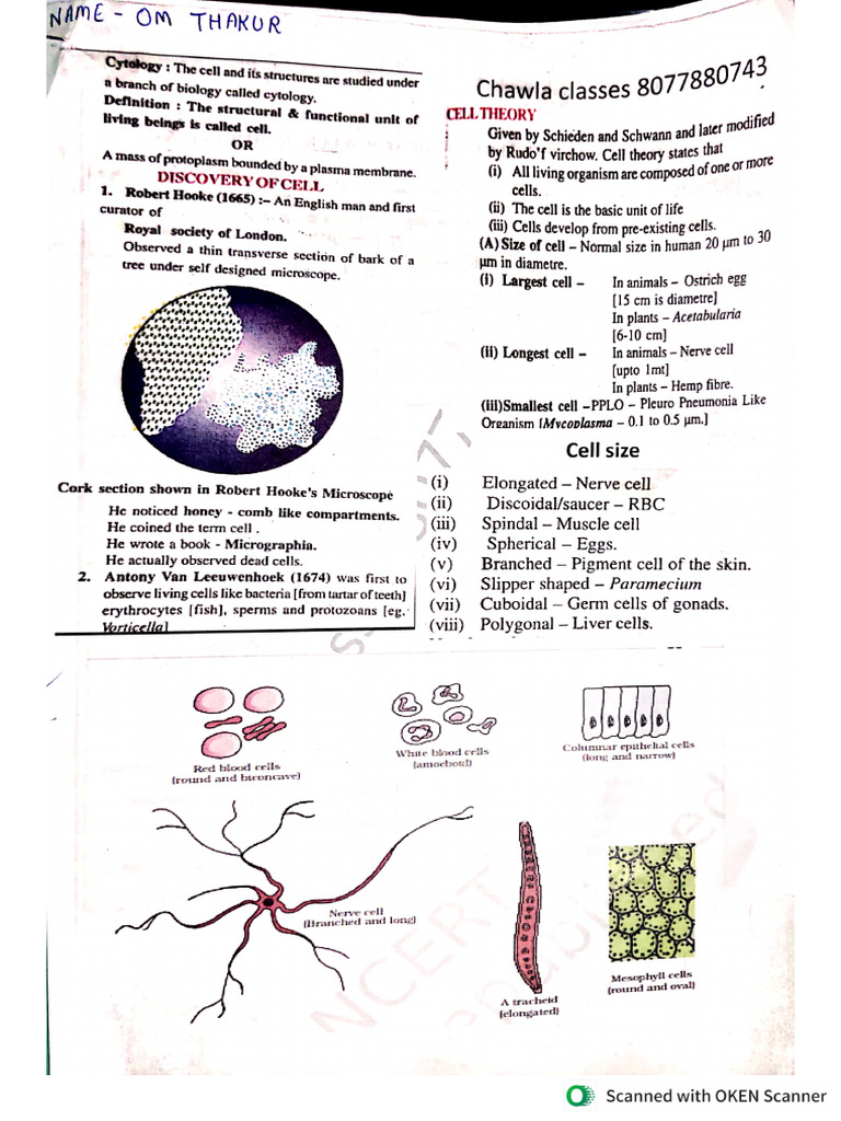 9th Notes | PDF