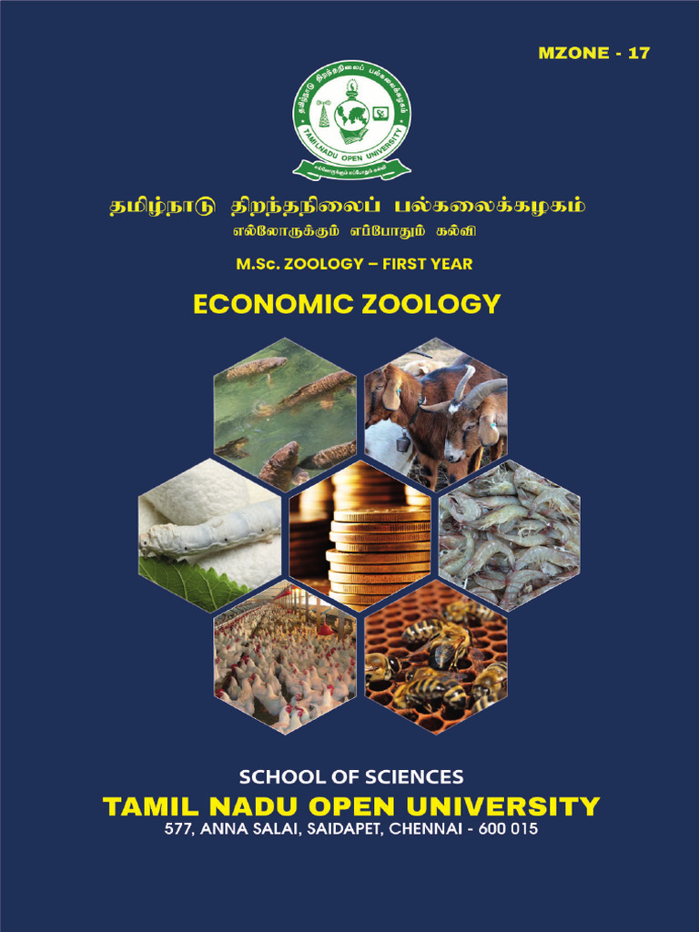 Mzone-17 E-Slm | PDF | Mosquito | Malaria