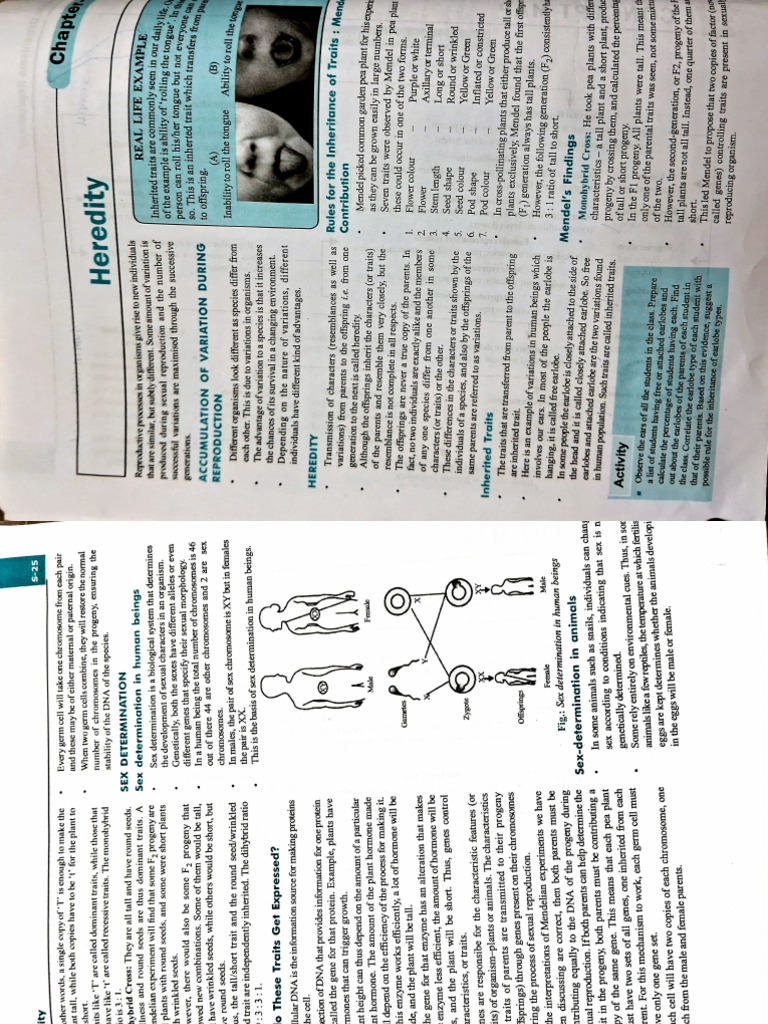 Science Notes Class 10 | PDF