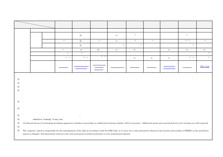 EEBD Requirements by Flag for Cargo Ships | PDF