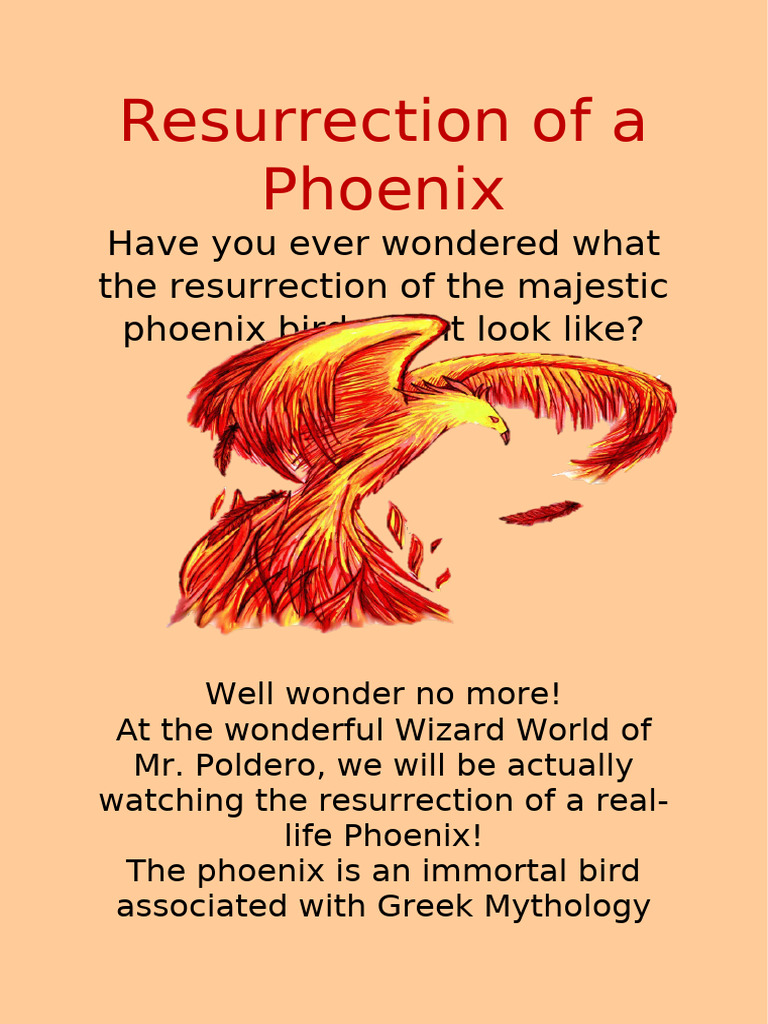 Pheonix Story | PDF