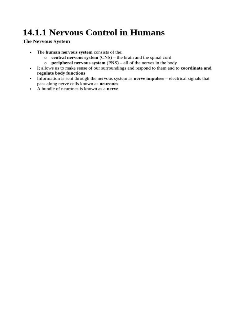 Human Nervous System Overview | PDF | Neuron | Chemical Synapse