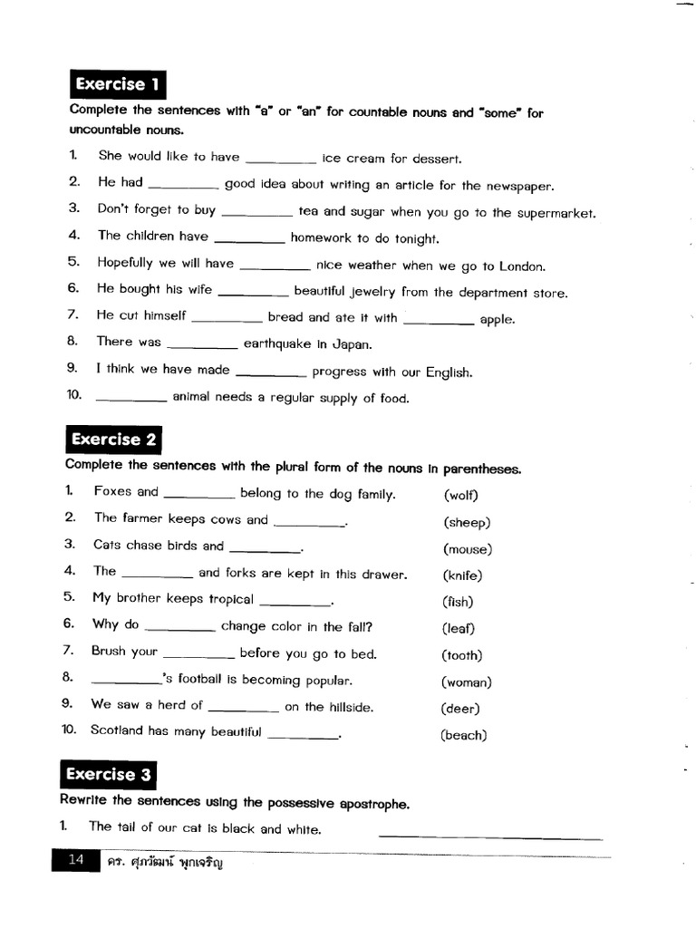Grammar Exercises for English Learners | PDF | Linguistic Morphology ...